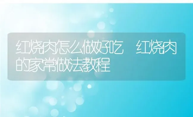 红烧肉怎么做好吃 红烧肉的家常做法教程 | 养殖资料投稿