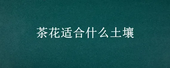茶花适合什么土壤