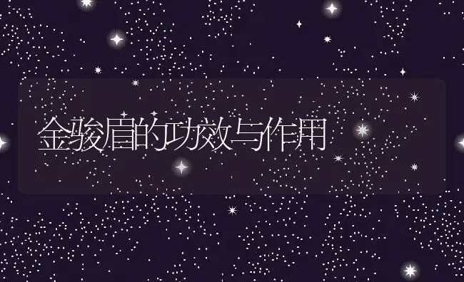 甘草片的副作用与禁忌 | 养殖资料投稿
