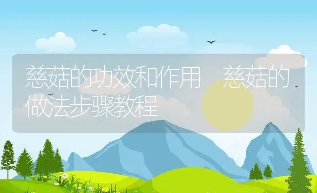 慈菇的功效和作用 慈菇的做法步骤教程 | 养殖资料投稿