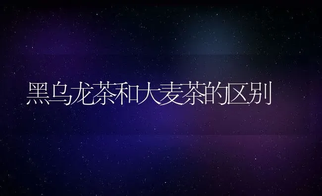 黑乌龙茶和大麦茶的区别 | 养殖资料投稿