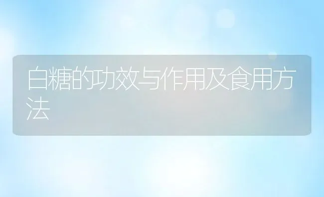 白糖的功效与作用及食用方法 | 养殖资讯