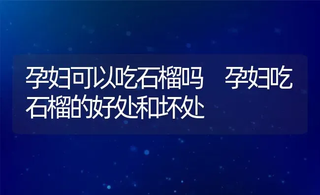 孕妇可以吃石榴吗 孕妇吃石榴的好处和坏处 | 养殖资料投稿