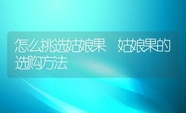 怎么挑选姑娘果 姑娘果的选购方法 | 养殖资料投稿