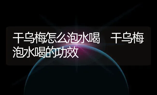 干乌梅怎么泡水喝 干乌梅泡水喝的功效 | 养殖资料投稿