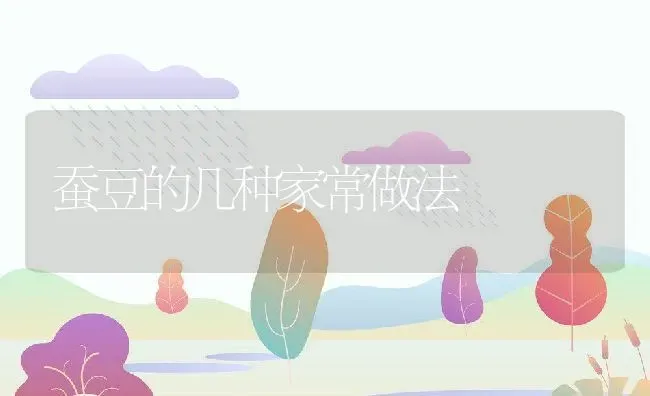蚕豆的几种家常做法 | 养殖资料投稿