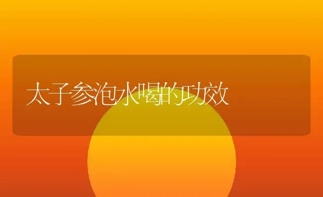 太子参泡水喝的功效 | 养殖资料投稿