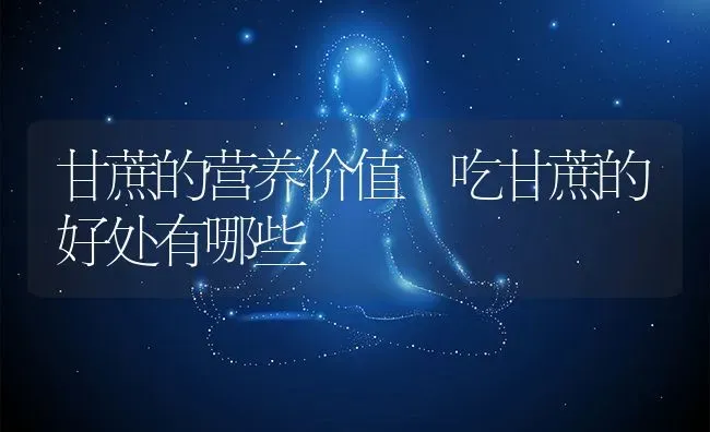 甘蔗的营养价值 吃甘蔗的好处有哪些 | 养殖资料投稿