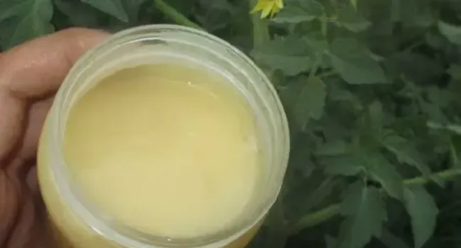 女人喝蜂蜜可以调经吗？