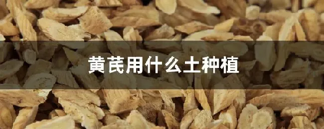 黄芪用什么土种植