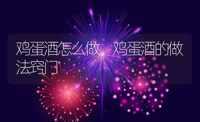 鸡蛋酒怎么做 鸡蛋酒的做法窍门 | 养殖资料投稿