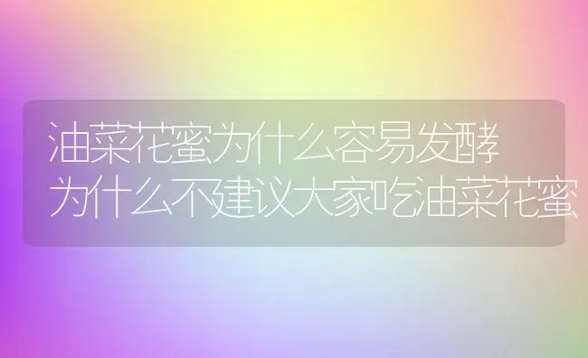 油菜花蜜为什么容易发酵 为什么不建议大家吃油菜花蜜 | 养殖资料投稿