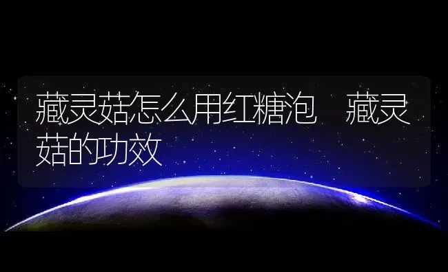 藏灵菇怎么用红糖泡 藏灵菇的功效 | 养殖资料投稿