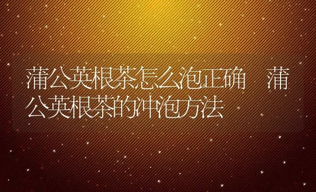 蒲公英根茶怎么泡正确 蒲公英根茶的冲泡方法 | 养殖资料投稿