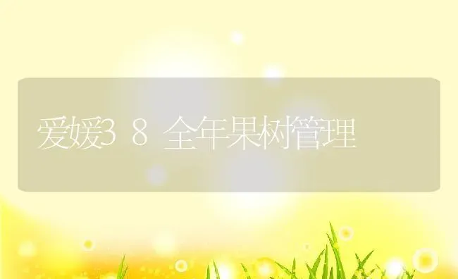 爱媛38全年果树管理 | 养殖资讯