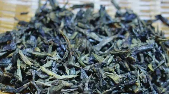 干巴菌的功效与药用价值