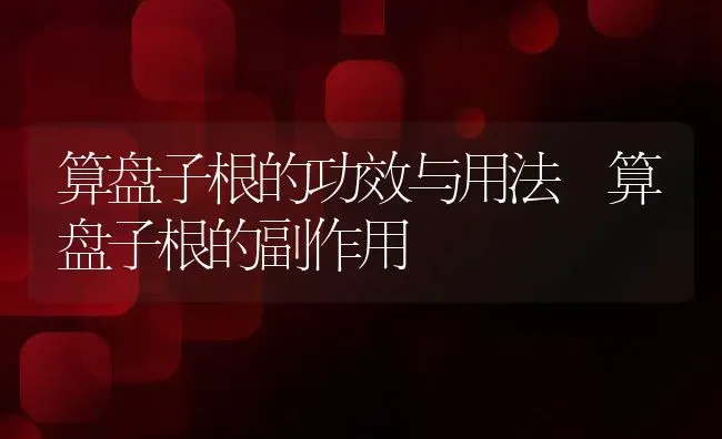 算盘子根的功效与用法 算盘子根的副作用 | 养殖资料投稿