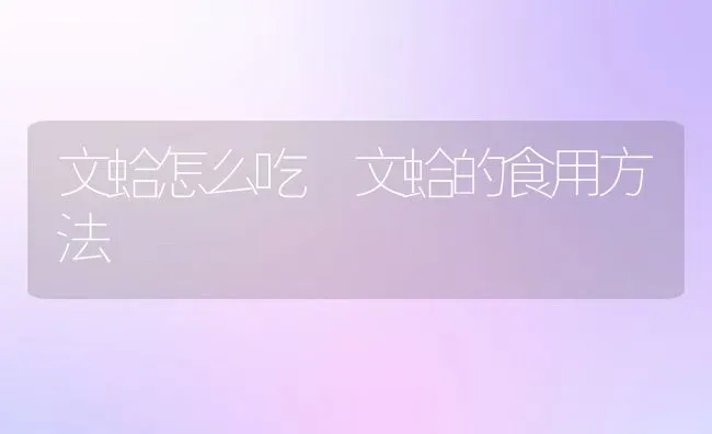 文蛤怎么吃 文蛤的食用方法 | 养殖资料投稿