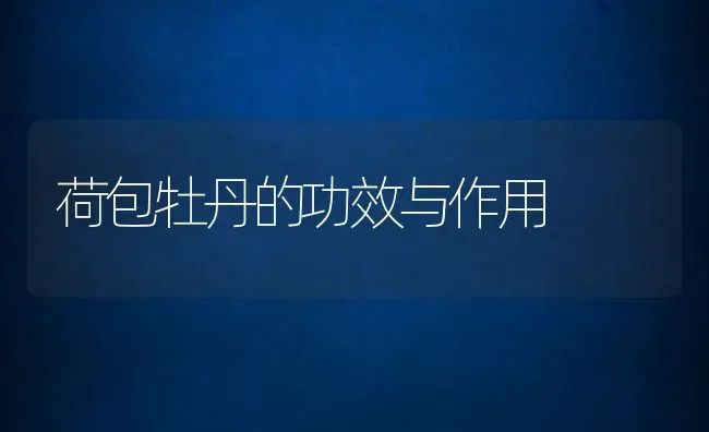 荷包牡丹的功效与作用 | 养殖资料投稿