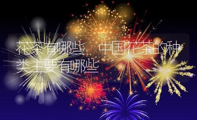 花茶有哪些 中国花茶的种类主要有哪些 | 养殖资料投稿