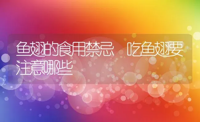 鱼翅的食用禁忌 吃鱼翅要注意哪些 | 养殖资料投稿