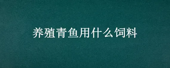 养殖青鱼用什么饲料