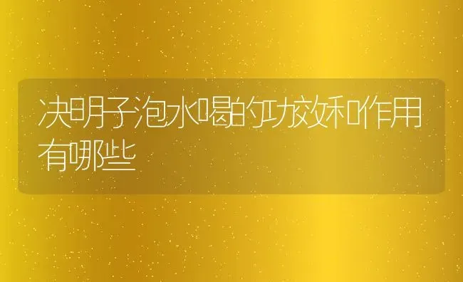 决明子泡水喝的功效和作用有哪些 | 养殖资料投稿