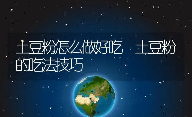 土豆粉怎么做好吃 土豆粉的吃法技巧 | 养殖资料投稿