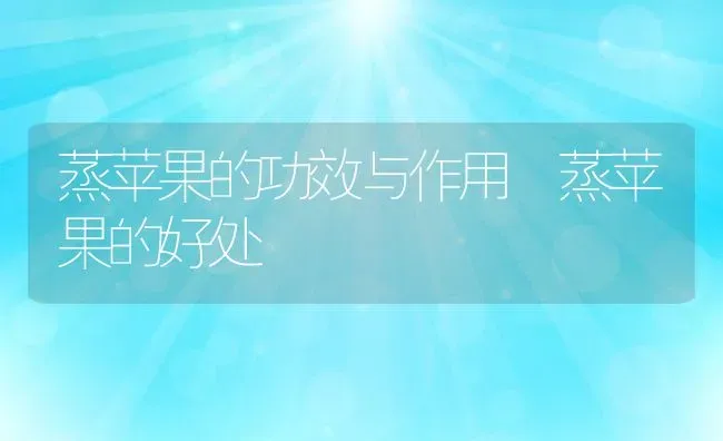 蒸苹果的功效与作用 蒸苹果的好处 | 养殖资料投稿