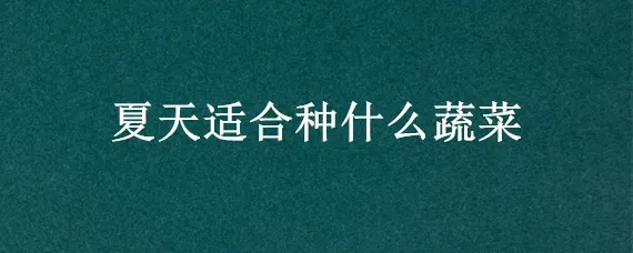 夏天适合种什么蔬菜