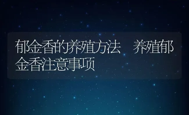 郁金香的养殖方法 养殖郁金香注意事项 | 养殖资料投稿