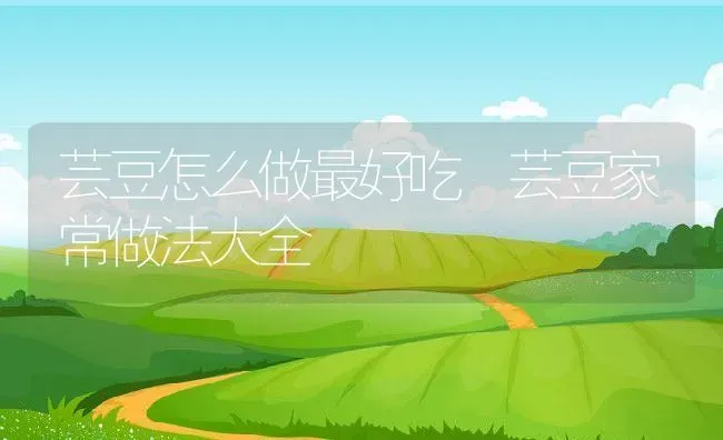 芸豆怎么做最好吃 芸豆家常做法大全 | 养殖资料投稿