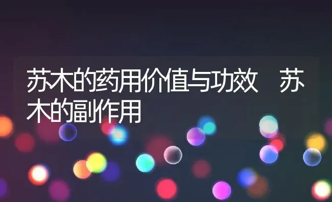 苏木的药用价值与功效 苏木的副作用 | 养殖资料投稿