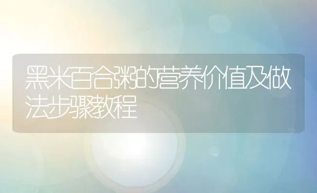 黑米百合粥的营养价值及做法步骤教程 | 养殖资讯