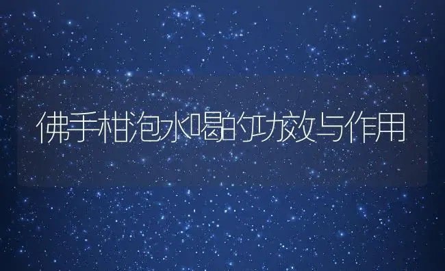 佛手柑泡水喝的功效与作用 | 养殖资料投稿