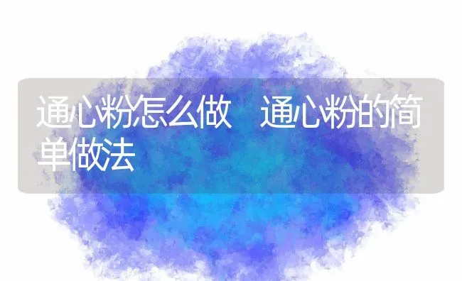 通心粉怎么做 通心粉的简单做法 | 养殖资料投稿