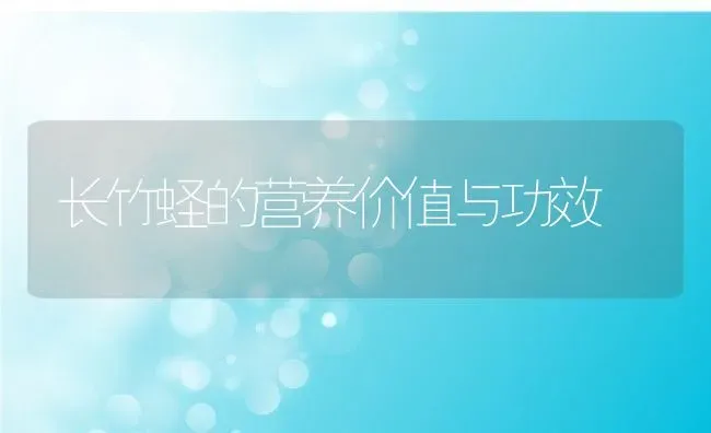 长竹蛏的营养价值与功效 | 养殖资料投稿