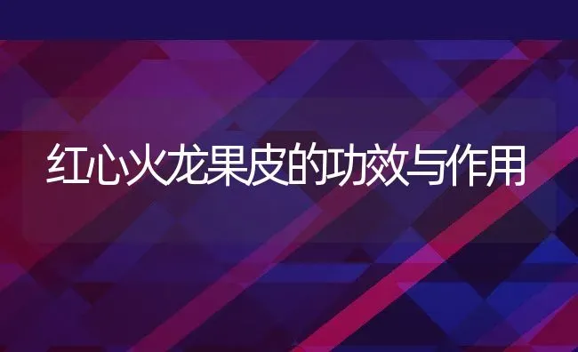 红心火龙果皮的功效与作用 | 养殖资料投稿