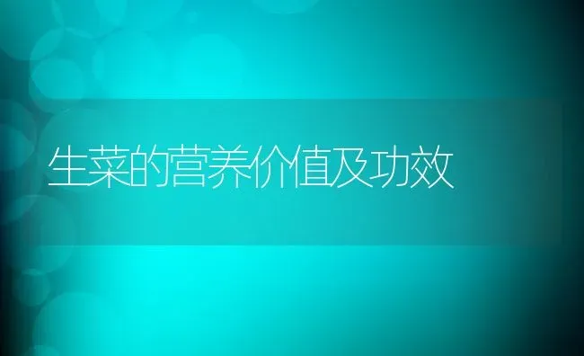 生菜的营养价值及功效 | 养殖资料投稿