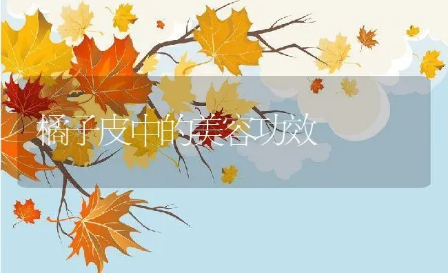橘子皮中的美容功效 | 养殖资料投稿