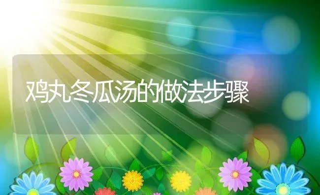 鸡丸冬瓜汤的做法步骤 | 养殖资料投稿