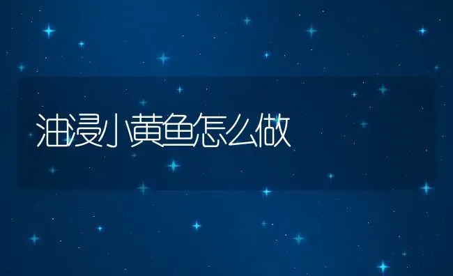 油浸小黄鱼怎么做 | 养殖资料投稿