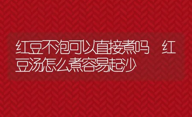 红豆不泡可以直接煮吗 红豆汤怎么煮容易起沙 | 养殖资料投稿