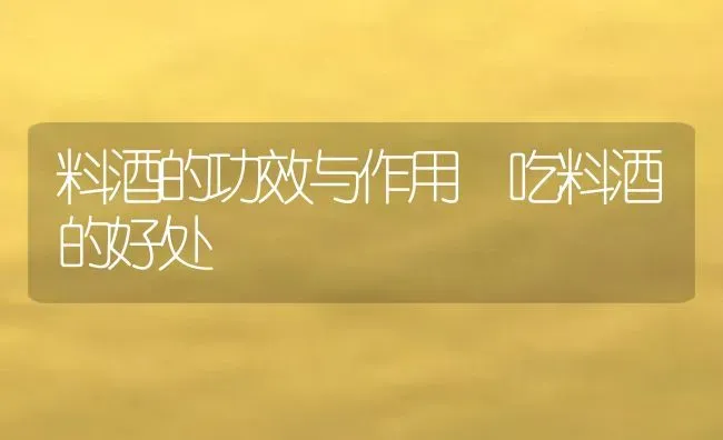 料酒的功效与作用 吃料酒的好处 | 养殖资料投稿