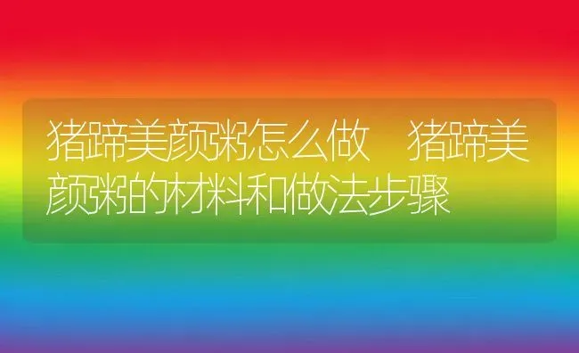 猪蹄美颜粥怎么做 猪蹄美颜粥的材料和做法步骤 | 养殖资讯