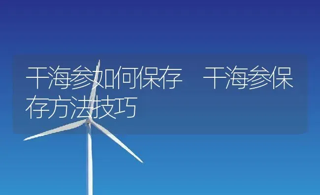 干海参如何保存 干海参保存方法技巧 | 养殖资料投稿