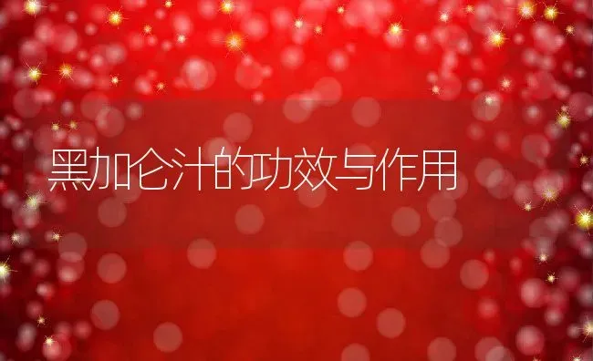 黑加仑汁的功效与作用 | 养殖资料投稿