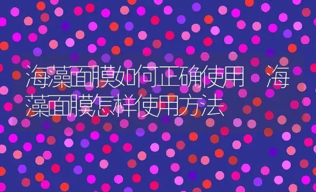 海藻面膜如何正确使用 海藻面膜怎样使用方法 | 养殖资料投稿