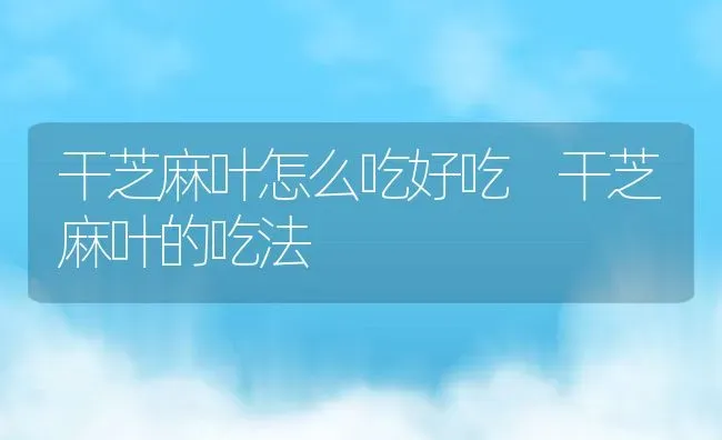 干芝麻叶怎么吃好吃 干芝麻叶的吃法 | 养殖资料投稿