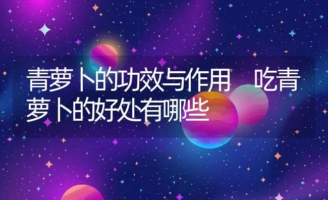 青萝卜的功效与作用 吃青萝卜的好处有哪些 | 养殖资料投稿